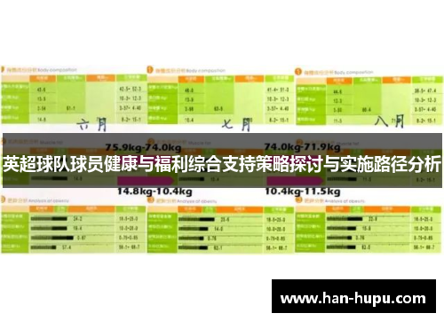英超球队球员健康与福利综合支持策略探讨与实施路径分析