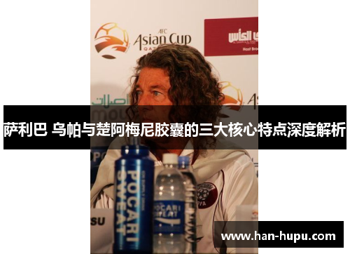 萨利巴 乌帕与楚阿梅尼胶囊的三大核心特点深度解析 萨利巴 乌帕与楚阿梅尼胶囊的三大核心特点深度解析