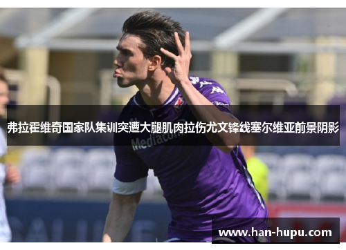 弗拉霍维奇国家队集训突遭大腿肌肉拉伤尤文锋线塞尔维亚前景阴影 弗拉霍维奇国家队集训突遭大腿肌肉拉伤尤文锋线塞尔维亚前景阴影