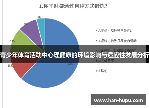 青少年体育活动中心理健康的环境影响与适应性发展分析