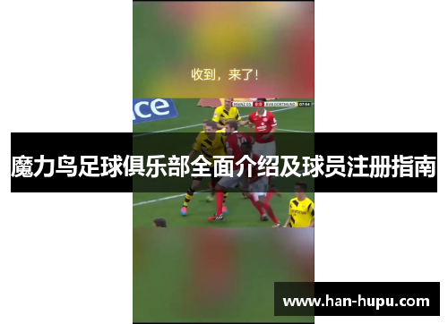 魔力鸟足球俱乐部全面介绍及球员注册指南 魔力鸟足球俱乐部全面介绍及球员注册指南