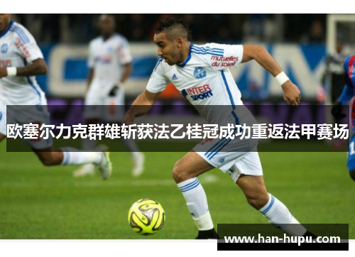 欧塞尔力克群雄斩获法乙桂冠成功重返法甲赛场